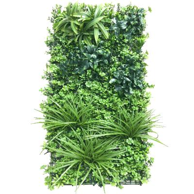 China Country Wall Artificial Vertical Green Grass Wall Plant Wall Hedge Panels Fence Peeled verde Para TU fondo for sale