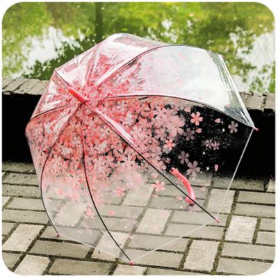 China Quality Waterproof Cherry Umbrella Advertising Transparent Waterproof Promotional Umbrella with Logo Prints for sale