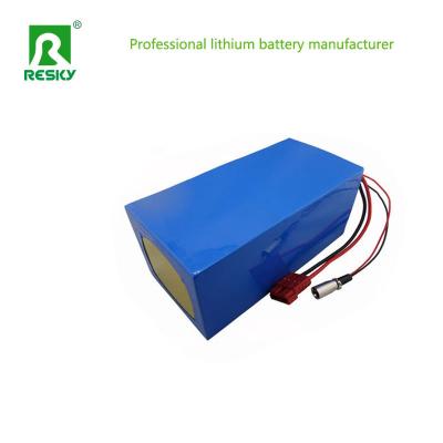 China 48V 20ah 1000W Lithium Battery Pack For Electric Vehicle for sale