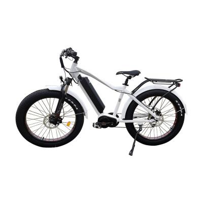 China Lantu Ebike fat tire mid motor 1000w e bicycle electric OEM bike supplier for sale