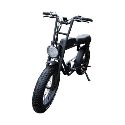 China Lantu Ebike 20 inch 20x4.0 Fat Tire Dual Battery Two Person Electric Bike for sale