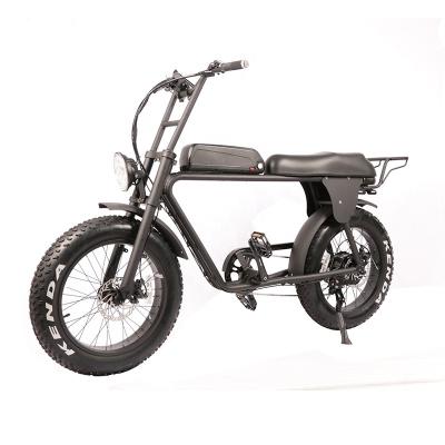 China Lantu Ebike 20 inch wholesale fat tire double battery electric bicycle ebike supplier Te koop