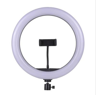 China Tiktok Ring Light With Stand M33 Circle Ring Light Flash Rechargeable Led Ring Light 13 Inch Tiktok Tripod Selfie Light for sale