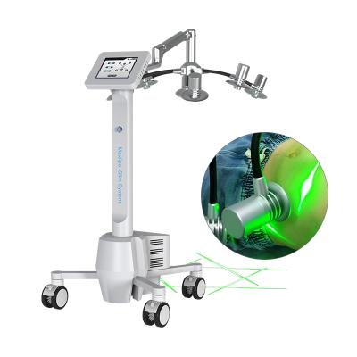 China 6d weight loss slimming machine light green 532nm wavelength laser body shape fat removal weight loss device for sale