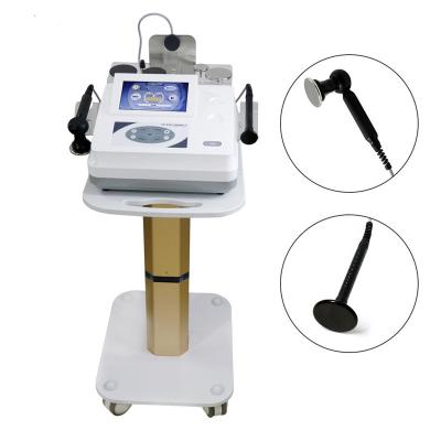 China Portable Pain Relief Physiotherapy Diathermy Radio Frequency Derm Skin Tightening Tecar CET Ret RF Slimming Monopolar Machine for sale