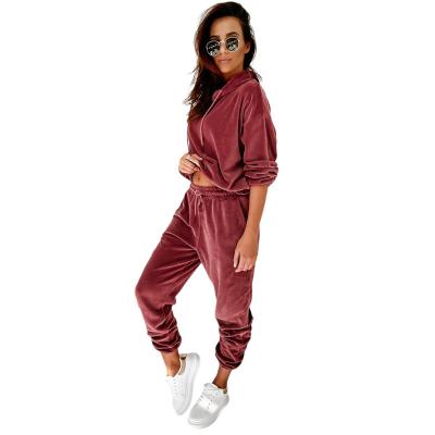 China Jogger Suit Training Sweatsuit Breathable Active Women Fit Gym Velor Velor Hooded Tracksuit for sale