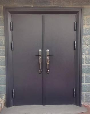 China Latest modern house door designs with two doors for your home HTX-9017A for sale