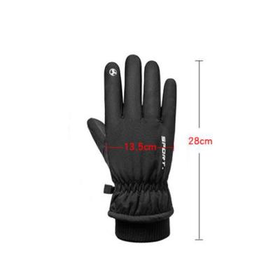 China Men Wholesale Touch Screen Warm Outdoor Waterproof Sports Winter Ski Gloves for sale