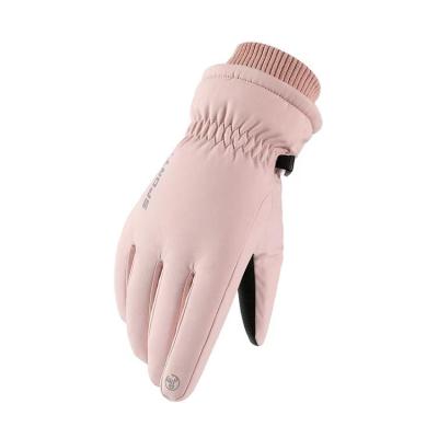 China Men Winter High Quality Outdoor Plus Waterproof Velor Sports Warm Touch Screen Ski Gloves for sale