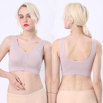 China Beha free de sutia push up plunge bra women sports bra crop top sujetador deportivo BH pump bra sports antibacterial backless top wire bra for sale