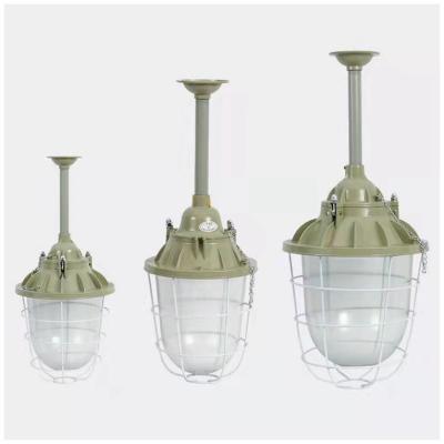 China Hot Sale Cheap Gas Stations Custom Popular Fixed Led Explosion Proof Lamp for sale