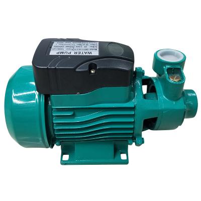 China Wholesale Motor Pure Copper Electric Water Pumping Buildings Commercial Clean Water Pump Customized Pipe Horizontal Self-priming Pump for sale