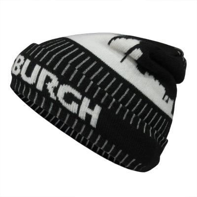 China 2022 New Fashion Winter Jacquard Fleece Beanie Brim Acrylic Polar Fleece JOINT Hats for sale