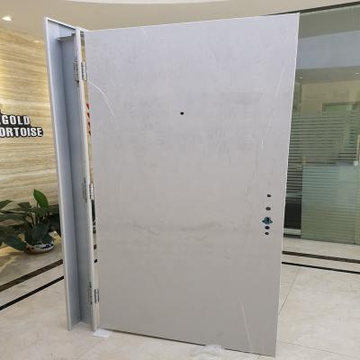 China Security Anti-theft European Steel Door With 13 Point Lock for sale