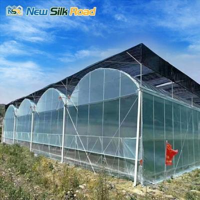 China Large NSR Greenhouse Single Layer Chinese Economical Plastic Film Agriculture Tunnel for sale