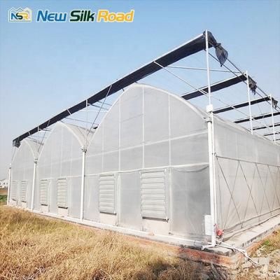 China Large Gothic Greenhouse Plant Hydroponics Tower Single Layer Plastic Film Material Agricultural Greenhouse Sale for sale