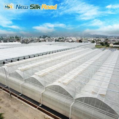 China Boost Agricultural Productivity with Large Multi-Span Agricultural Greenhouses for sale