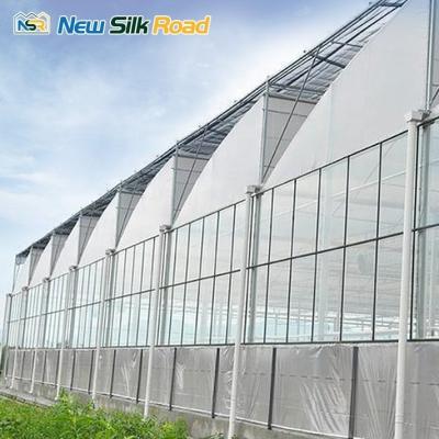 China Hot Galvanized Steel Pipe Sawtooth Greenhouse NSR Greenhouse Plastic Film Customized for sale