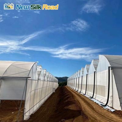 China Customized Gutter Height Glass Cover Large Sawtooth Greenhouse for Hydroponic Planting for sale