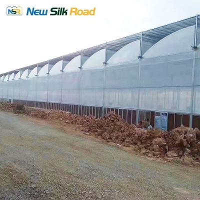 China Customized Ventilation Roof Vents/Side Vents Plastic Steel Plastic Film Greenhouse for sale