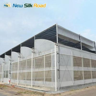 China Single-Layer Plastic Film Steel Dents de Scie Agricultural Serre for Seaside Area Sale for sale