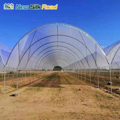 China Hot Dip Galvanized Simple Greenhouse for Agricultural Vegetables Fruits and Flowers for sale