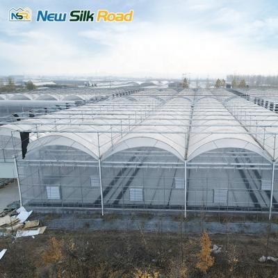 China Hot Dip Galvanized Steel Frame PE Film Greenhouse for Economical Agricultural Plant for sale