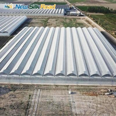 China Snow Load 140mm/h Double-Layer Greenhouse for Vegetable Growing Issiqxona in Uzbekistan for sale