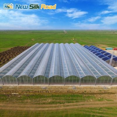 China Small Scale Agriculture Length Customized Size Israel Style Polytunnel Film Greenhouse for sale