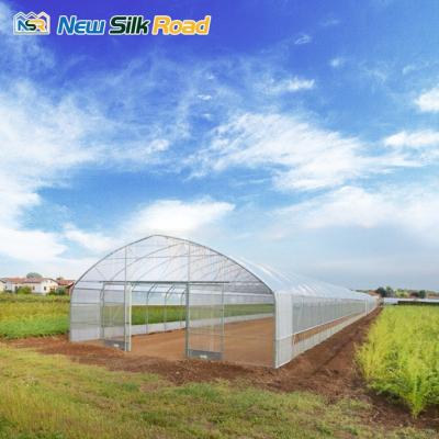 China Small Tunnel/Hoop Design Agricultural Single-Span Greenhouse Hydroponics with PE Layer for sale