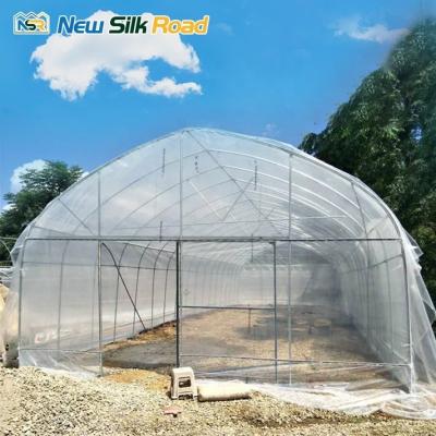 China Low Cost Galvanized Steel Frame Greenhouse Tunnels PE Plastic Film Cover Single Small Large Square Agriculture Plant Shelter for sale