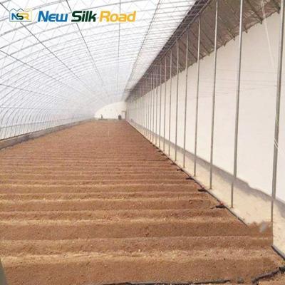 China NSR Greenhouse Agricultural Double Layer Chinese Style Solar Greenhouse For Plant for sale