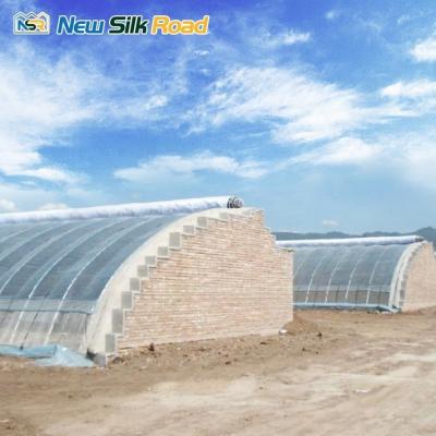 China PE Passive Solar Greenhouse in Galvanized Steel Frame for Agricultural Sustainability for sale