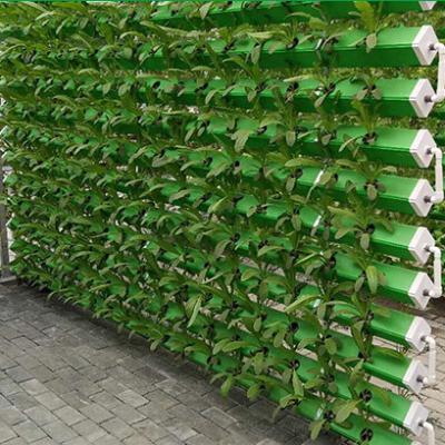 China 5.8m Section Hydroponic Nft System Greenhouse Ideal for Growing Fruits and Vegetables for sale