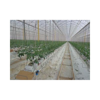 China Hot Sale Vegetable Fruits Flowers Strawberry Stable Structure Pc Sheet Soilless Culture for sale