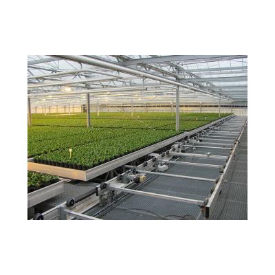 China Top ABS Moving Seedbed for Agriculture Planting in Multi-Span Agricultural Greenhouses for sale