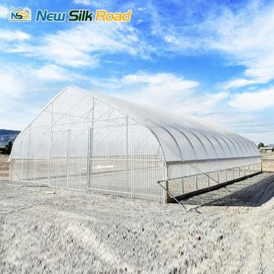 China NSR Instruction Agricultural PE Plastic Tunnel Greenhouse with Galvanized Steel Frame for sale