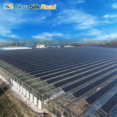 China Solar-Powered Large and Small Agricultural Greenhouses Galvanized Steel Frame with PE Film Glass Cover for Plant Usage for sale