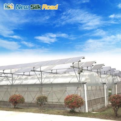 China Hot Dip Galvanized Material Multi-Span Photovoltaic Greenhouses for Agricultural Needs for sale