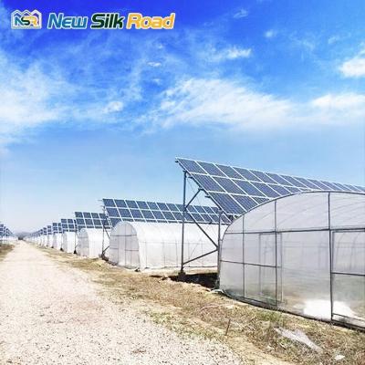 China Small Single-Span Solar Greenhouse for Agriculture Made of PE and Galvanized Steel for sale