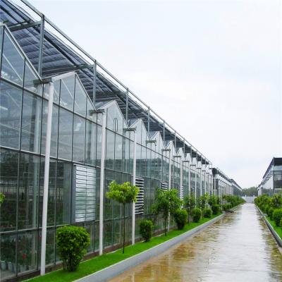 China Galvanized Steel Structure Multi-Span Agricultural Greenhouses for Hydroponic Farming for sale