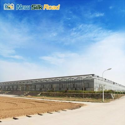 China Galvanized Steel Frame Enclosed Glass Film Industrial Greenhouse for Plant Usage for sale