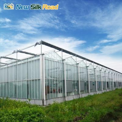 China Large Hydroponic Greenhouse Column for Aeroponic Planting Hydroponic System with Galvanized Steel Frame Film Glass Cover Sale for sale