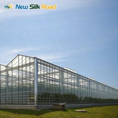 China Hot Dip Galvanized Steel Frame Multi-span Hydroponic Greenhouse for Plant Cultivation for sale