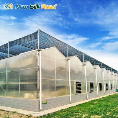 China commercial garden greenhouses polycarbonate sheet price greenhouse structure galvanized steel hollow polycarbonate sheet for ag for sale