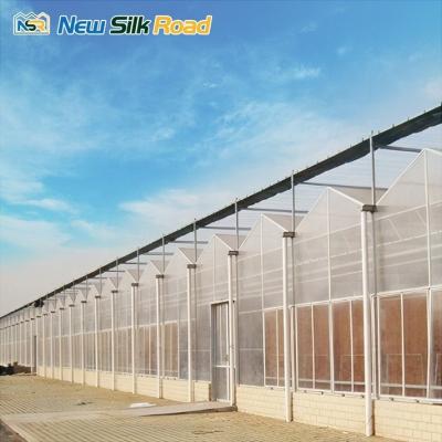 China commercial low cost agricultural greenhouse sale hot house greenhouse polycarbonate sheet greenhouse for agro for sale