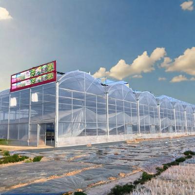 China Double PE Steel Frame Greenhouse Film Cover for Plants Agriculture in Cold Winters for sale