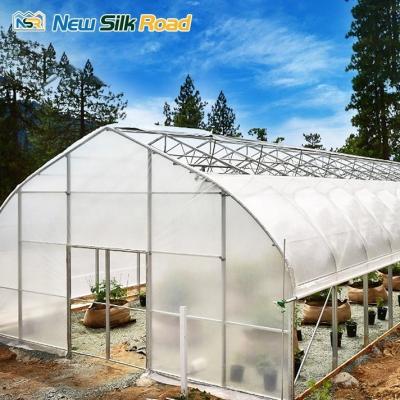 China Customizable Cooling and Irrigation System for Agricultural Plastic Tunnel Greenhouse for sale