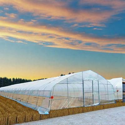 China Small Size Agricultural Greenhouse with Single Span Design and Cheetah Green Film for sale