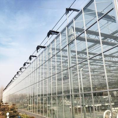 China Multi-Span Agricultural Glass Solar Greenhouses Made of Hot Dip Galvanized Steel Frame for sale